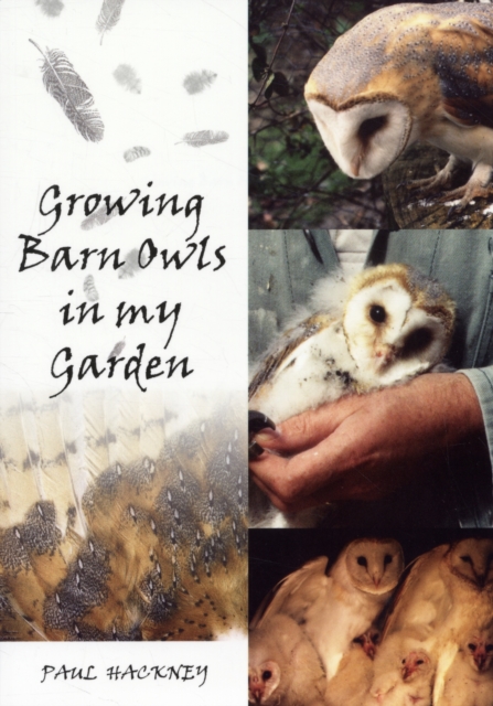Growing Barn Owls in my Garden, Paperback / softback Book