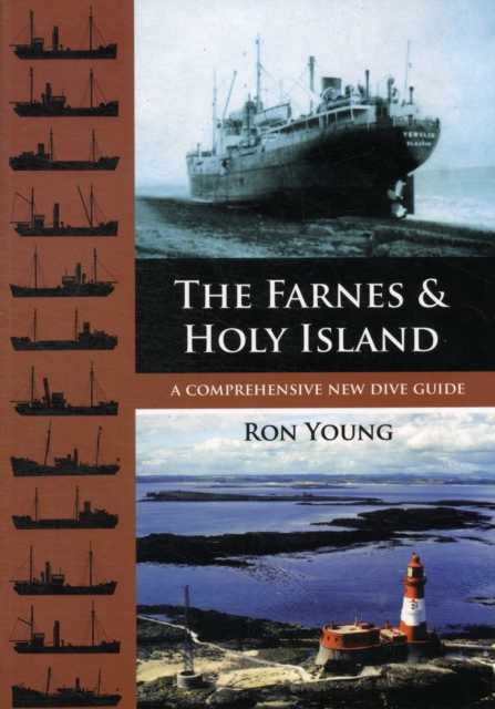 The Farnes and Holy Island : A Comprehensive New Dive Guide, Paperback / softback Book