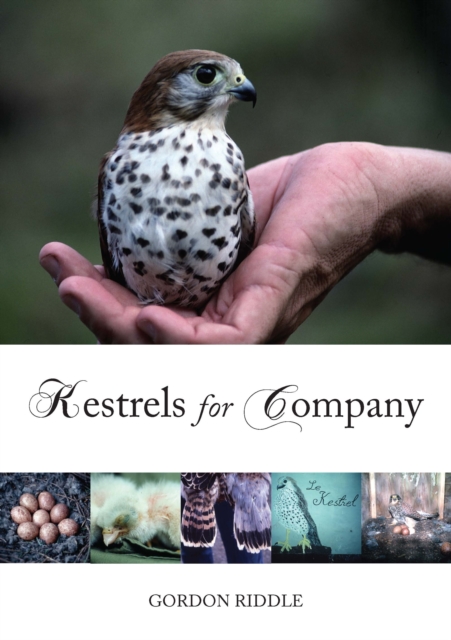 Kestrels for Company, EPUB eBook