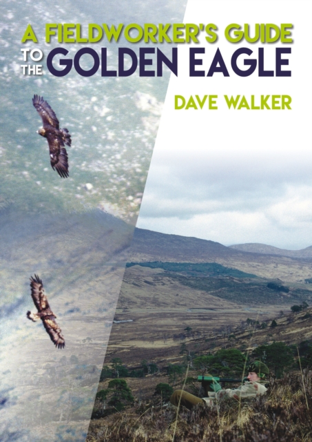 A Fieldworker's Guide to the Golden Eagle, Paperback / softback Book