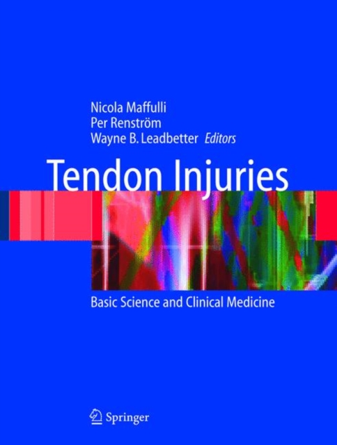 Tendon Injuries : Basic Science and Clinical Medicine, Paperback / softback Book