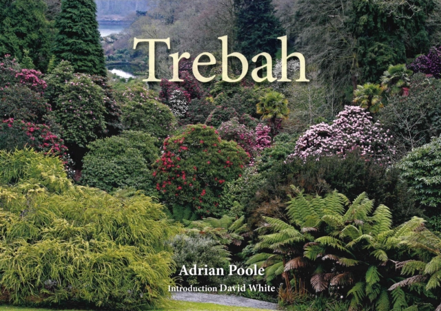 Trebah, Paperback / softback Book