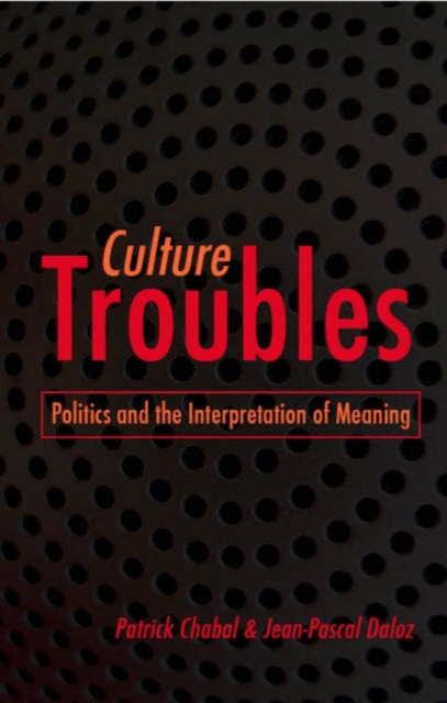 Culture Troubles : Politics and the Interpretation of Meaning, Paperback / softback Book