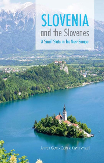 Slovenia and the Slovenes : A Small State in the New Europe, Paperback / softback Book