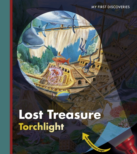 Lost Treasure, Hardback Book