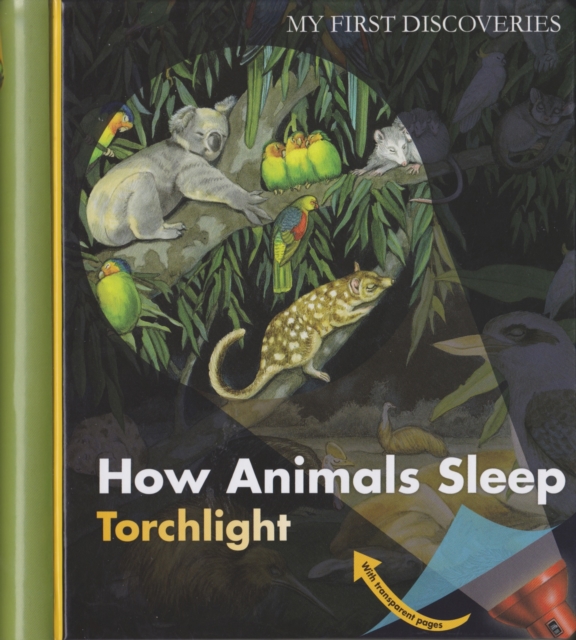 How Animals Sleep, Hardback Book