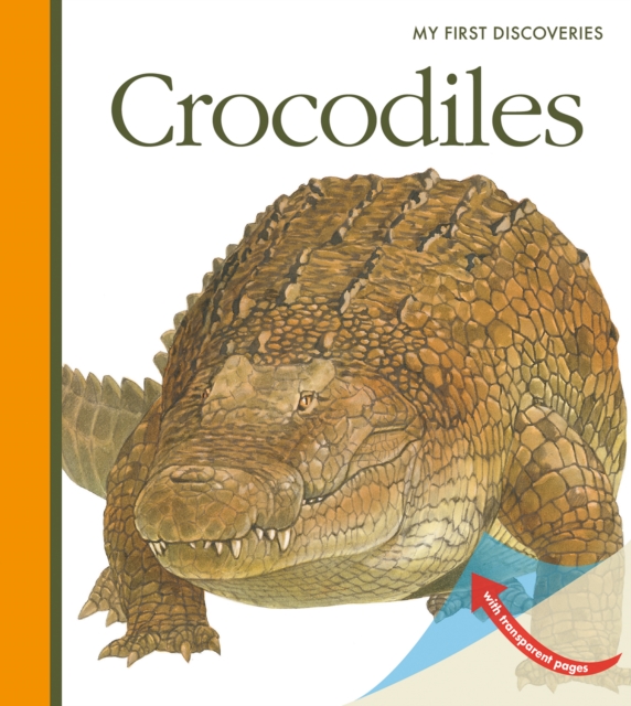 Crocodiles, Spiral bound Book