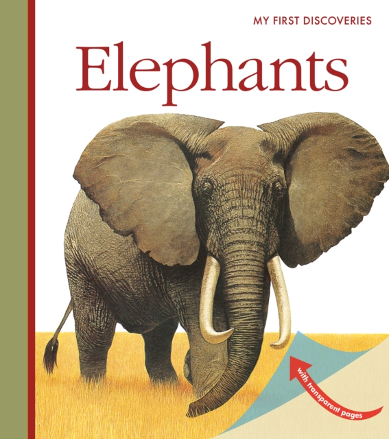 Elephants, Spiral bound Book
