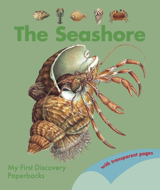 The Seashore, Paperback / softback Book
