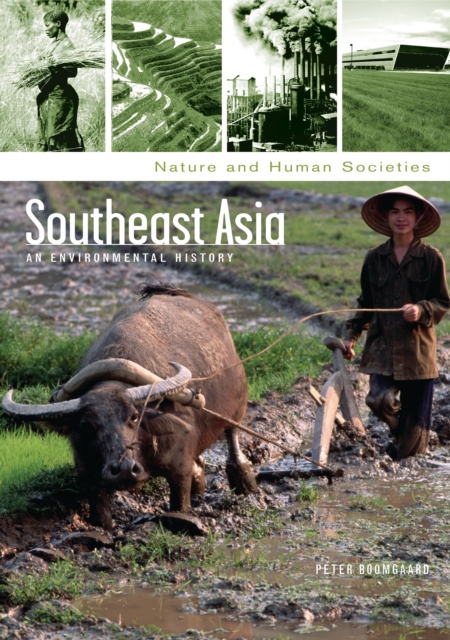 Southeast Asia : An Environmental History, PDF eBook