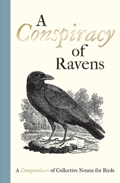 A Conspiracy of Ravens : A Compendium of Collective Nouns for Birds, Hardback Book