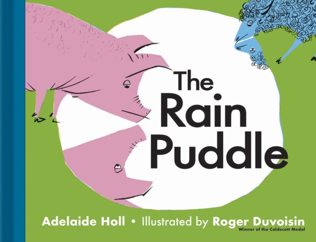 The Rain Puddle, Hardback Book
