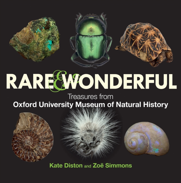 Rare & Wonderful : Treasures from Oxford University Museum of Natural History, Hardback Book