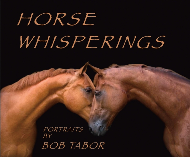 Horse Whispering, Hardback Book
