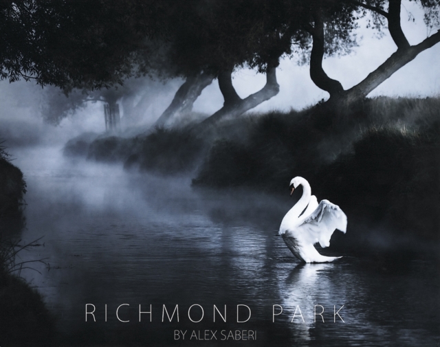 Richmond Park, Hardback Book