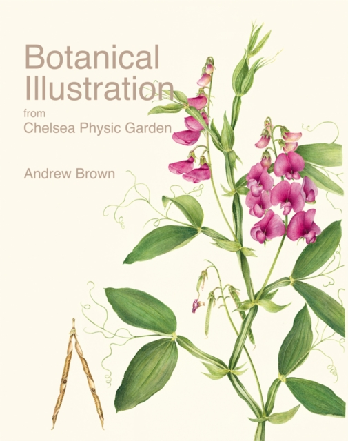 Botanical Illustration from Chelsea Physic Garden, Hardback Book
