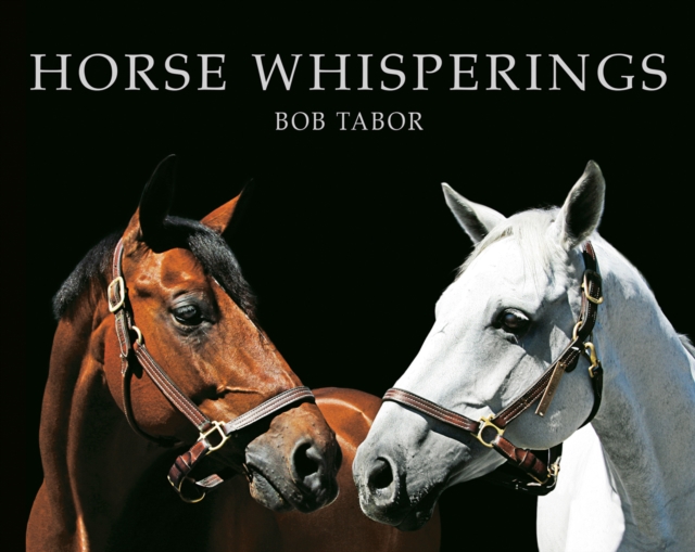 Horse Whisperings : Portraits by Bob Tabor, Hardback Book