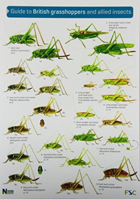 Guide to British Grasshoppers and Allied Insects, Sheet map, folded Book