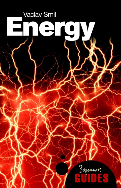 Energy : A Beginners Guide, Paperback Book