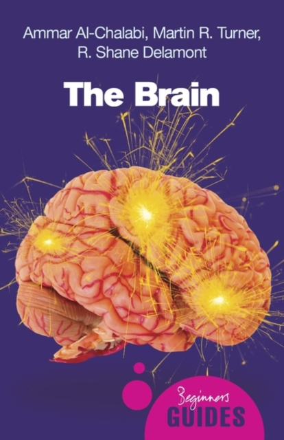 The Brain : A Beginner's Guide, Paperback / softback Book