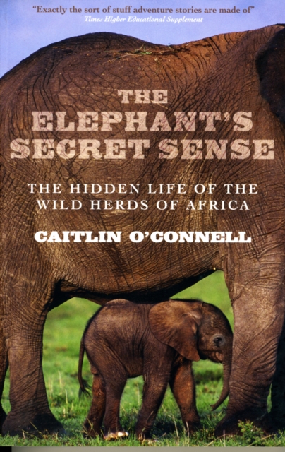 The Elephant's Secret Sense : The Hidden Life of the Wild Herds of Africa, Paperback / softback Book