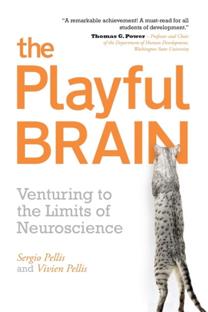 The Playful Brain : Venturing to the Limits of Neuroscience, Paperback / softback Book