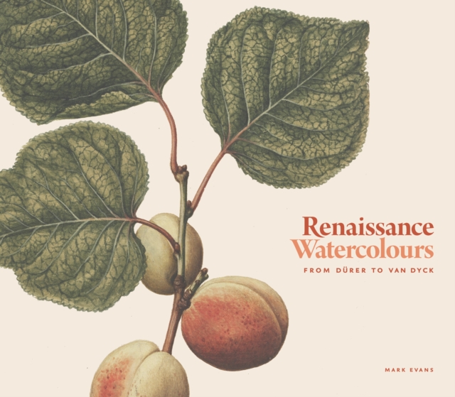 Renaissance Watercolours : From Durer to Van Dyck, Hardback Book