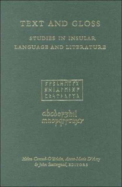 Text and Gloss : Studies in Insular Literature and Literature, Hardback Book