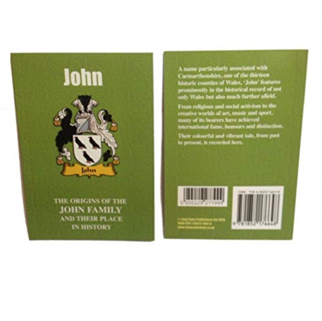 Johnson : The Origins of the Johnson Family and Their Place in History, Paperback / softback Book