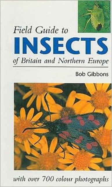 Field Guide to Insects of Britain & Europe, Paperback / softback Book