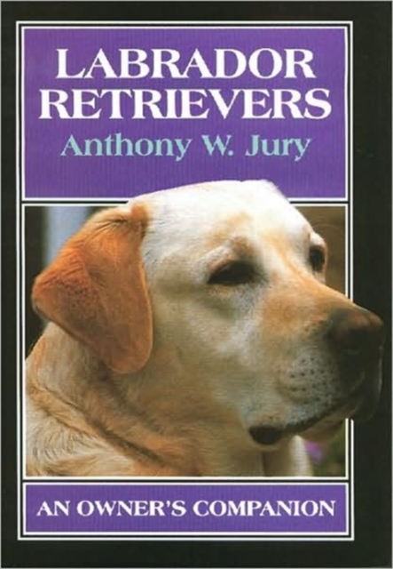 Labrador Retrievers : An Owner's Companion, Hardback Book