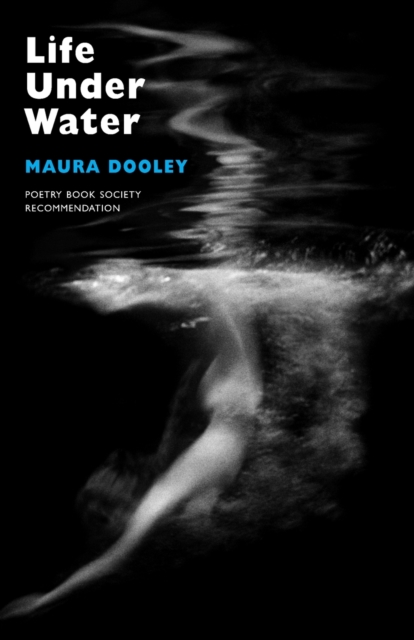 Life Under Water, Paperback / softback Book