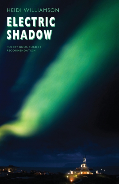 Electric Shadow, Paperback / softback Book