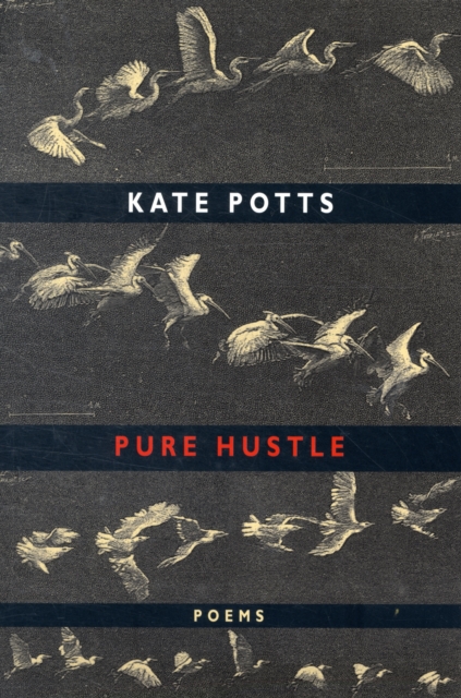 Pure Hustle, Paperback / softback Book