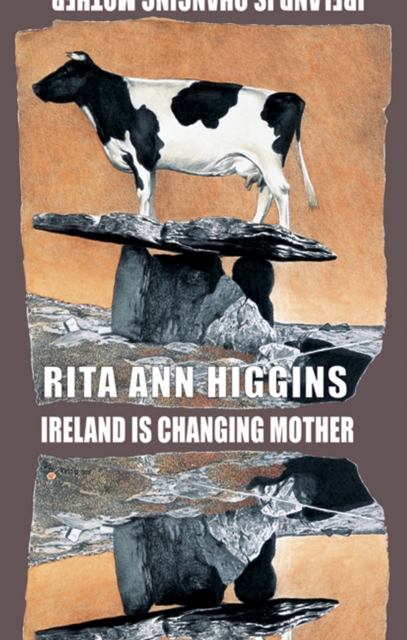 Ireland Is Changing Mother, Paperback / softback Book
