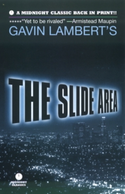 The Slide Area, Paperback / softback Book