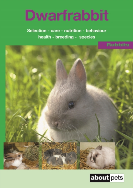 The Dwarf Rabbit : A Guide to Selection, Housing, Care, Nutrition, Behaviour, Health, Breeding, Species and Colours, Paperback / softback Book