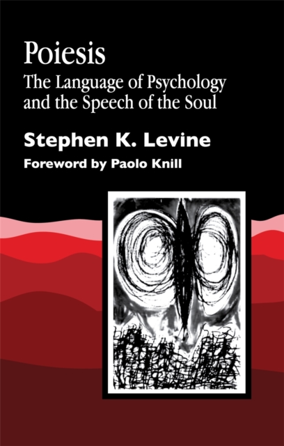 Poiesis : The Language of Psychology and the Speech of the Soul, Paperback / softback Book