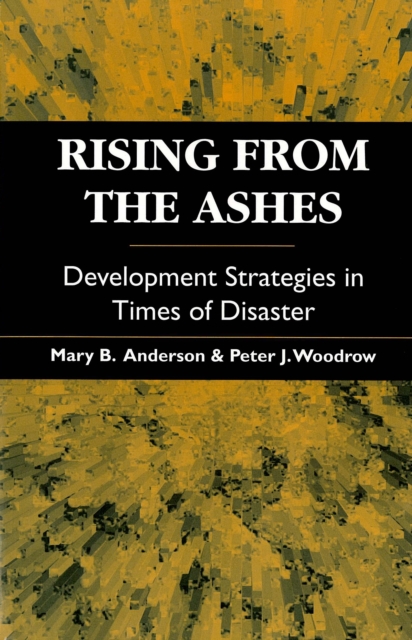 Rising from the Ashes : Development strategies in times of disaster, Paperback / softback Book