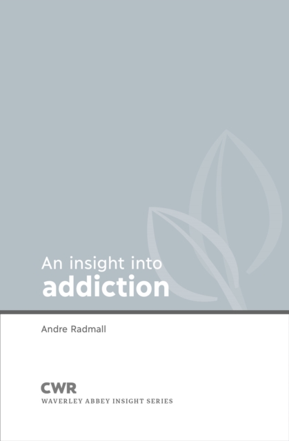 Insight into Addiction, Paperback / softback Book