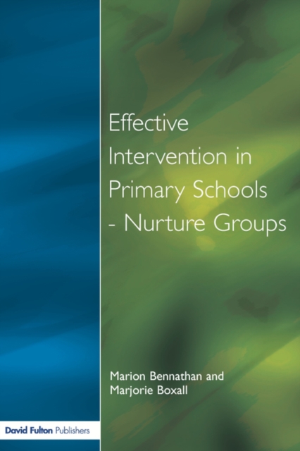 Effect Intervention in Primary School, Paperback / softback Book