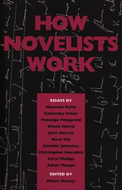 How Novelists Work, Paperback / softback Book