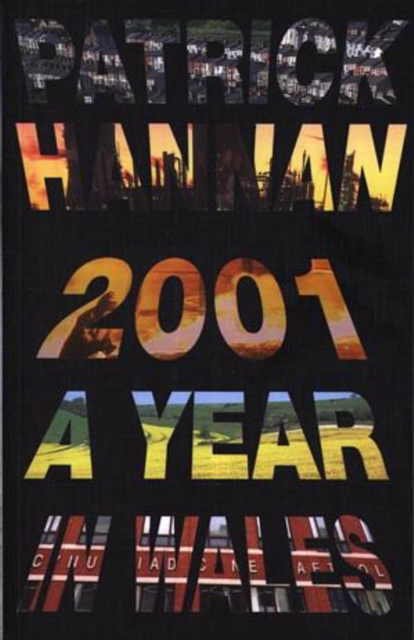 2001 : A Year in Wales, Paperback / softback Book