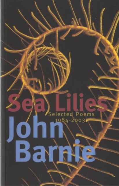 Sea Lilies : Selected Poems 1984-2003, Paperback / softback Book