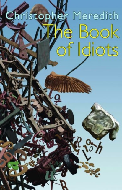 The Book of Idiots, Paperback / softback Book
