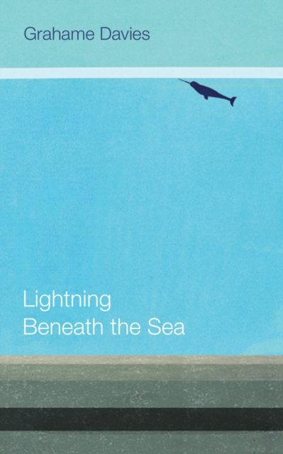 Lightning Beneath the Sea, Paperback / softback Book