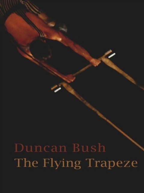 The Flying Trapeze, EPUB eBook