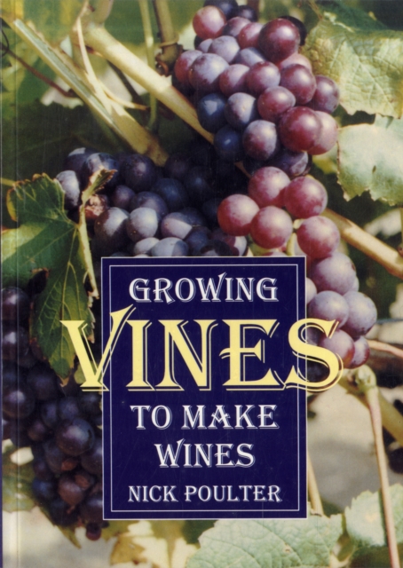 Growing Vines to Make Wines, Paperback / softback Book