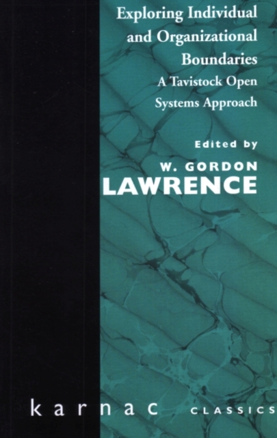 Exploring Individual and Organizational Boundaries : A Tavistock Open Systems Approach, Paperback / softback Book