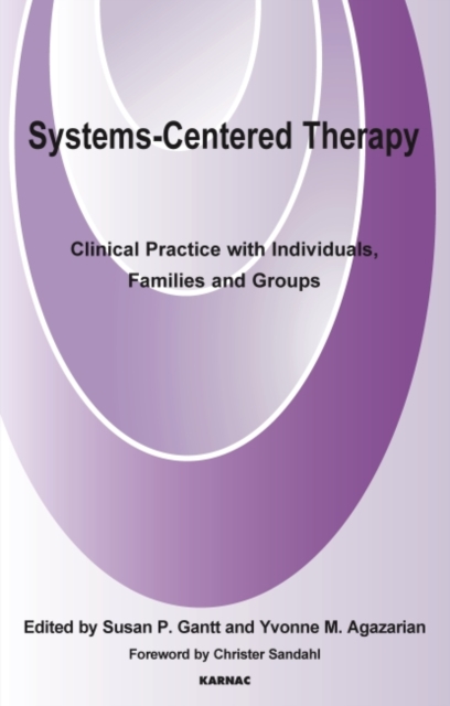 Systems-Centered Therapy : Clinical Practice with Individuals, Families and Groups, Paperback / softback Book